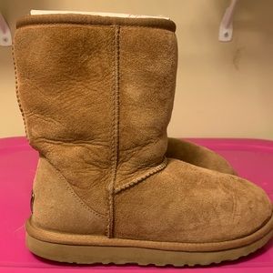 Chestnut uggs